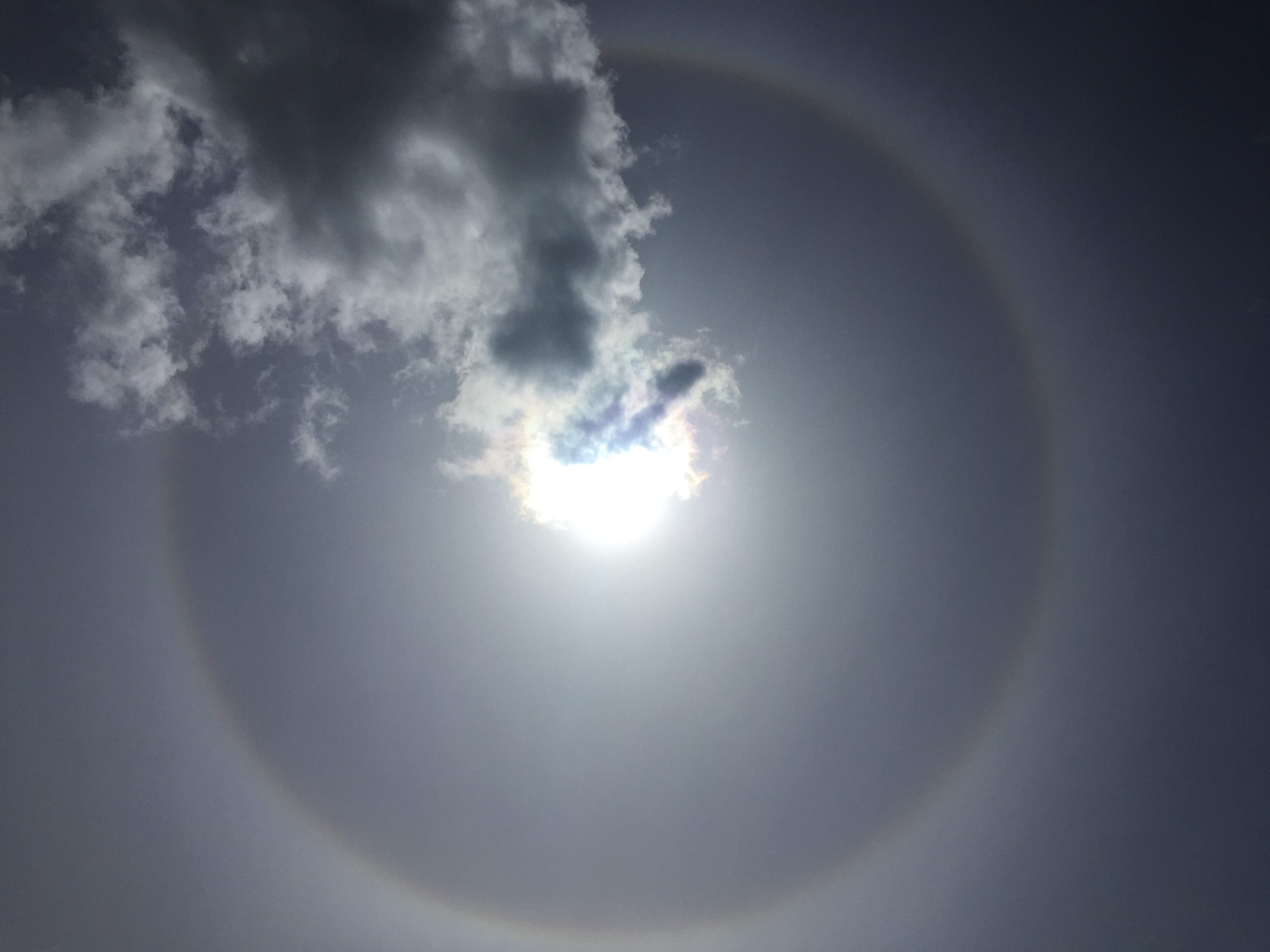 Sunbow